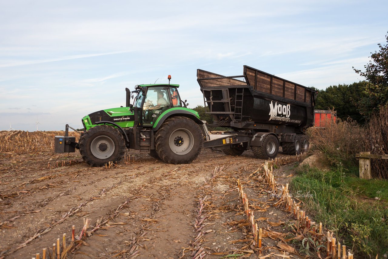 Bild 98 - Maisernte 2016